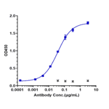 ELISA - Lexatumumab Biosimilar - Anti-DR5 Antibody - Low endotoxin, Azide free (A323542) - Antibodies.com