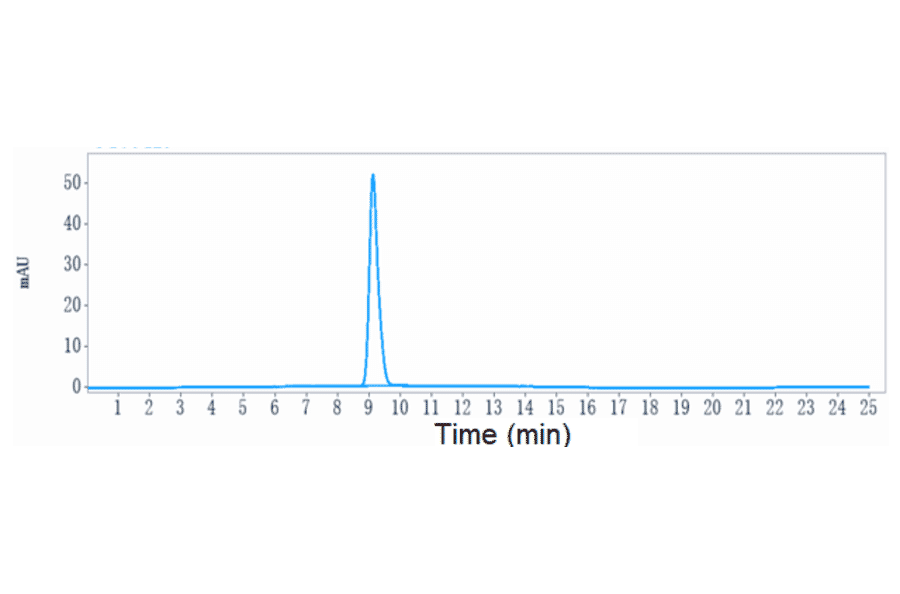 SEC-HPLC - Lilotomab Biosimilar - Anti-CD37 Antibody - Low endotoxin, Azide free (A323547) - Antibodies.com