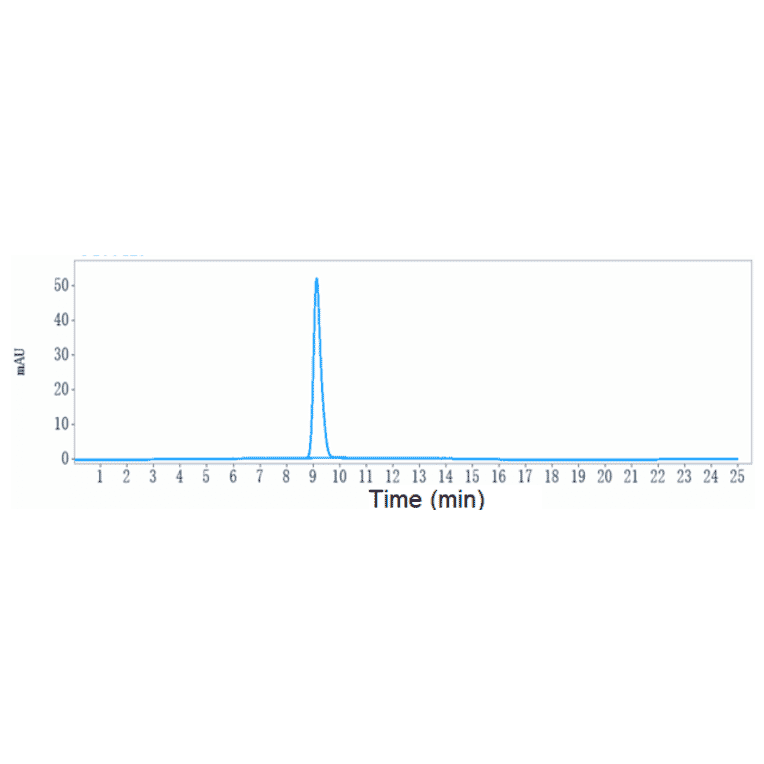 SEC-HPLC - Lilotomab Biosimilar - Anti-CD37 Antibody - Low endotoxin, Azide free (A323547) - Antibodies.com