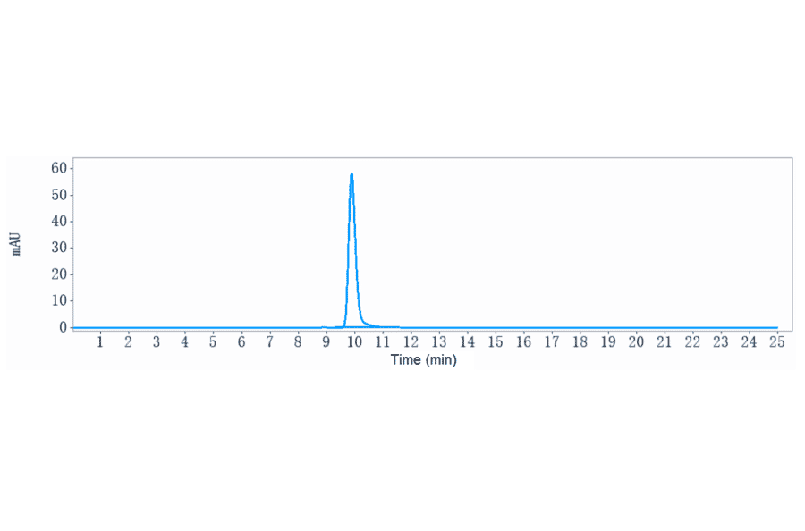SEC-HPLC - Lintuzumab Biosimilar - Anti-CD33 Antibody - Low endotoxin, Azide free (A323549) - Antibodies.com