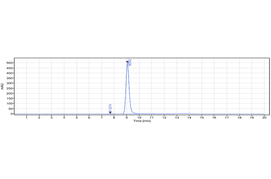SEC-HPLC - Lorvotuzumab Biosimilar - Anti-NCAM1 Antibody - Low endotoxin, Azide free (A323559) - Antibodies.com