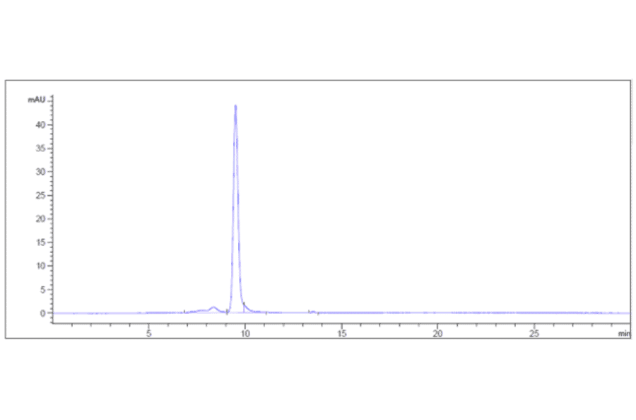SEC-HPLC - Lusvertikimab Biosimilar - Anti-CD127 Antibody - Low endotoxin, Azide free (A323565) - Antibodies.com