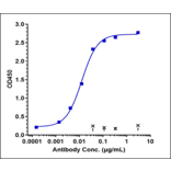 ELISA - Lusvertikimab Biosimilar - Anti-CD127 Antibody - Low endotoxin, Azide free (A323565) - Antibodies.com