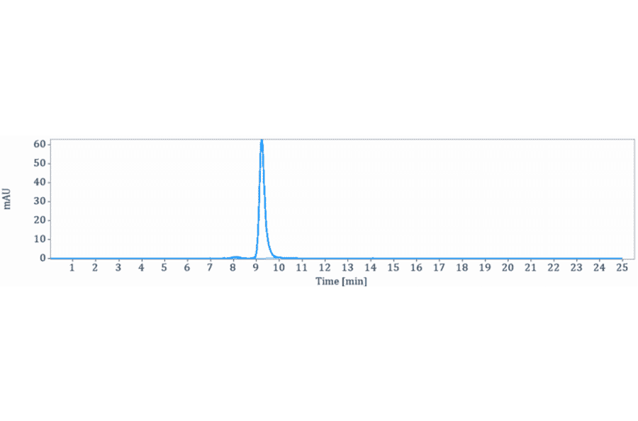 SEC-HPLC - Magrolimab Biosimilar - Anti-CD47 Antibody - Low endotoxin, Azide free (A323567) - Antibodies.com