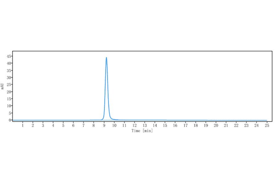 SEC-HPLC - Manelimab Biosimilar - Anti-PD-L1 Antibody - Low endotoxin, Azide free (A323568) - Antibodies.com