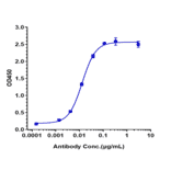 ELISA - Mavrilimumab Biosimilar - Anti-CD116 Antibody - Low endotoxin, Azide free (A323573) - Antibodies.com