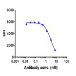 Function:Blocking - Mepolizumab Biosimilar - Anti-IL-5 Antibody - Low endotoxin, Azide free (A323575) - Antibodies.com