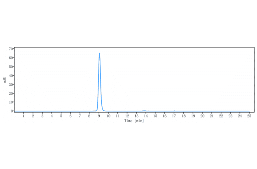 SEC-HPLC - Mibavademab Biosimilar - Anti-Leptin Receptor Antibody - Low endotoxin, Azide free (A323577) - Antibodies.com