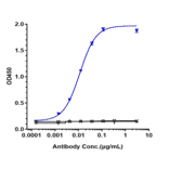 ELISA - Mirvetuximab Biosimilar - Anti-Folate Binding Protein/FBP Antibody - Low endotoxin, Azide free (A323583) - Antibodies.com
