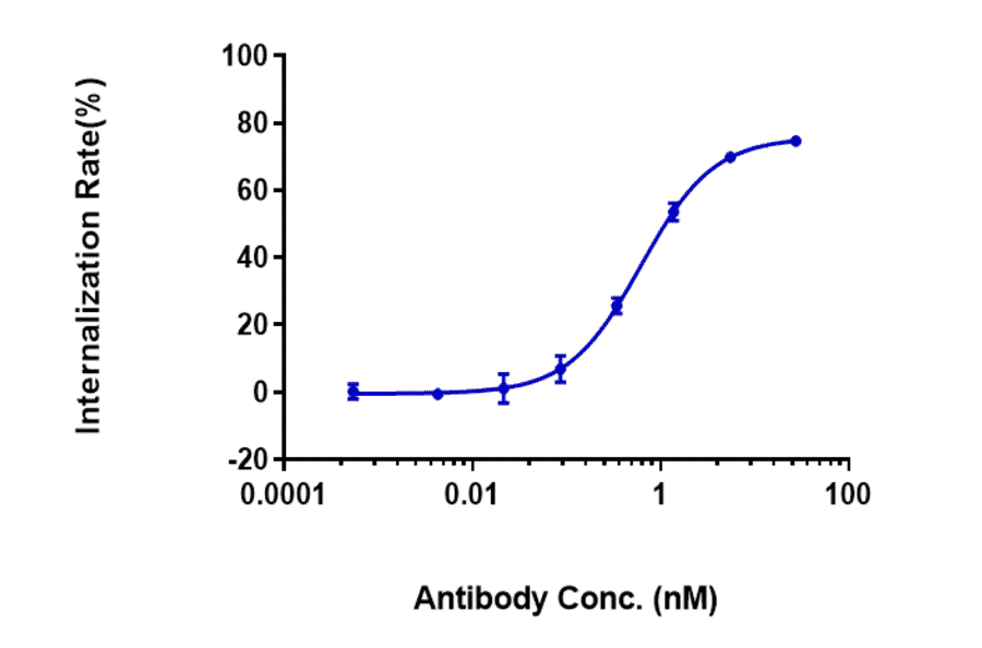 Graph of internalization rate at different concentrations of Mirvetuximab Biosimilar - Anti-Folate Binding Protein/FBP Antibody - A323583