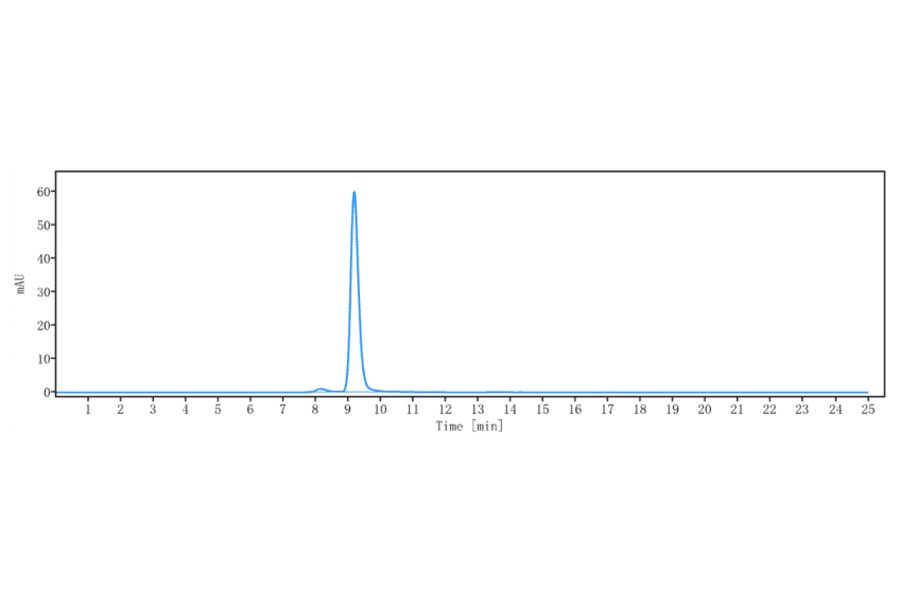 SEC-HPLC - Mitazalimab Biosimilar - Anti-CD40 Antibody - Low endotoxin, Azide free (A323585) - Antibodies.com
