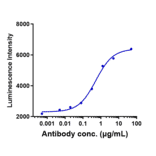 Function:Luciferase - Monalizumab Biosimilar - Anti-NKG2A Antibody - Low endotoxin, Azide free (A323588) - Antibodies.com