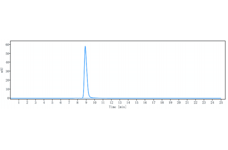 SEC-HPLC - Murlentamab Biosimilar - Anti-AMHR2 Antibody - Low endotoxin, Azide free (A323592) - Antibodies.com