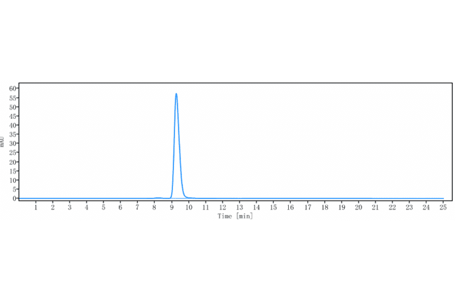 SEC-HPLC - Nadecnemab Biosimilar - Anti-GFR alpha 3/GFRA3 Antibody - Low endotoxin, Azide free (A323593) - Antibodies.com