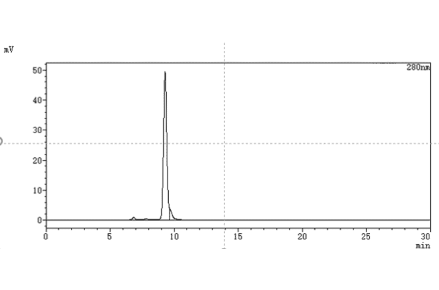 SEC-HPLC - Namilumab Biosimilar - Anti-GM-CSF Antibody - Low endotoxin, Azide free (A323594) - Antibodies.com