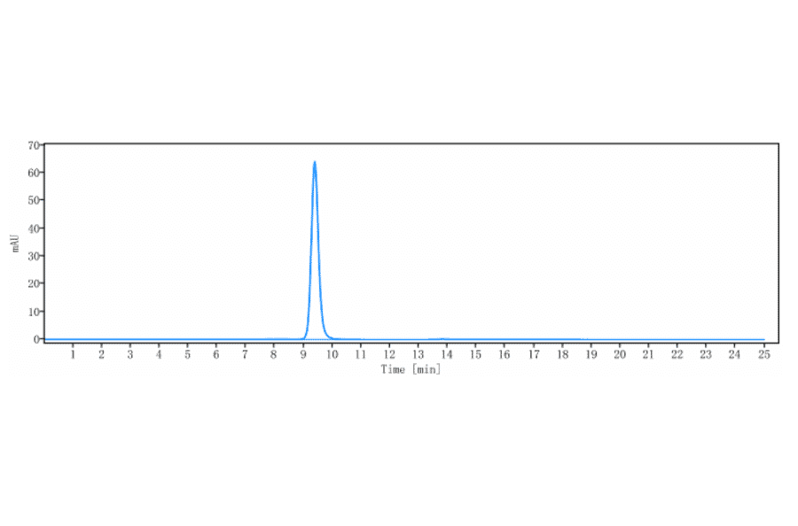 SEC-HPLC - Naptumomab Biosimilar - Anti-5T4 Antibody - Low endotoxin, Azide free (A323595) - Antibodies.com