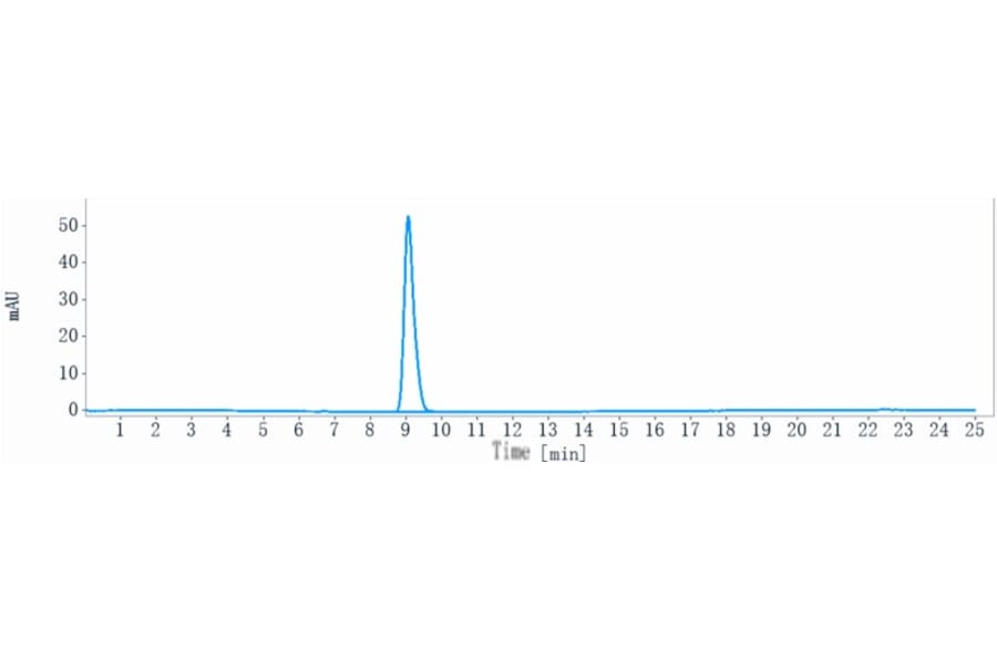 SEC-HPLC - Naratuximab Biosimilar - Anti-CD37 Antibody - Low endotoxin, Azide free (A323596) - Antibodies.com