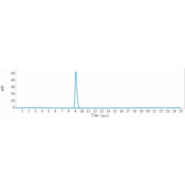 SEC-HPLC - Naratuximab Biosimilar - Anti-CD37 Antibody - Low endotoxin, Azide free (A323596) - Antibodies.com