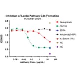 Function:Pathway - Narsoplimab Biosimilar - Anti-MASP2 Antibody - Low endotoxin, Azide free (A323598) - Antibodies.com