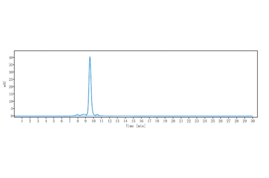 SEC-HPLC - Navicixizumab Biosimilar - Anti-DLL4 Antibody - Low endotoxin, Azide free (A323599) - Antibodies.com
