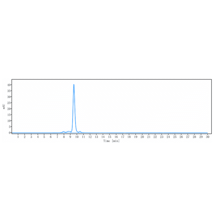 SEC-HPLC - Navicixizumab Biosimilar - Anti-DLL4 Antibody - Low endotoxin, Azide free (A323599) - Antibodies.com