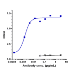 ELISA - Necitumumab Biosimilar - Anti-EGFR Antibody - Low endotoxin, Azide free (A323601) - Antibodies.com