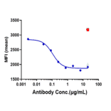 Function:Phosphorylation - Nemolizumab Biosimilar - Anti-IL-31RA Antibody - Low endotoxin, Azide free (A323603) - Antibodies.com