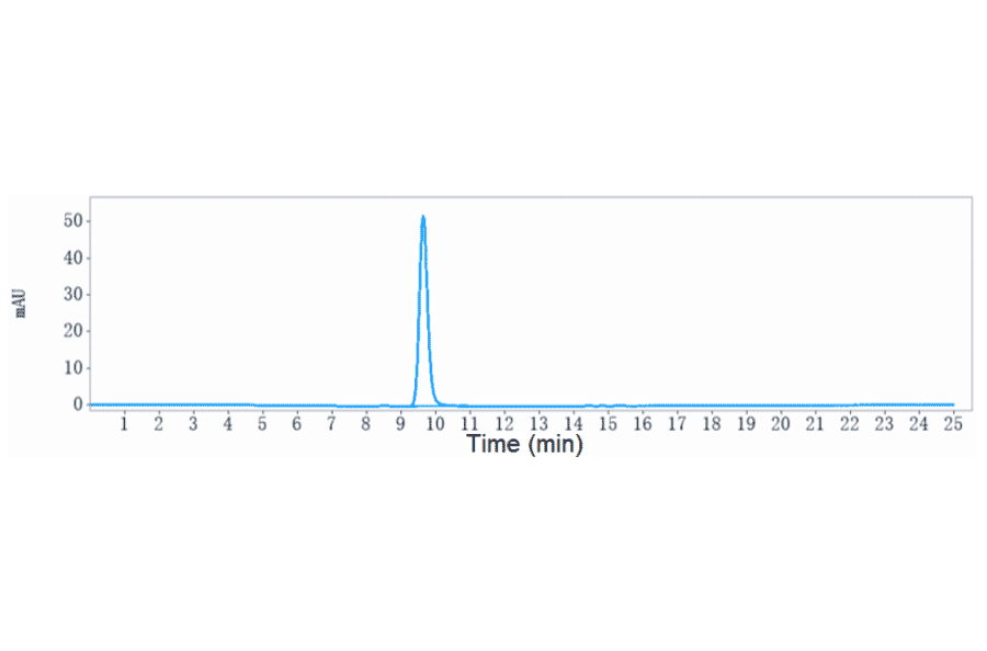 SEC-HPLC - Netakimab Biosimilar - Anti-IL-17A Antibody - Low endotoxin, Azide free (A323605) - Antibodies.com