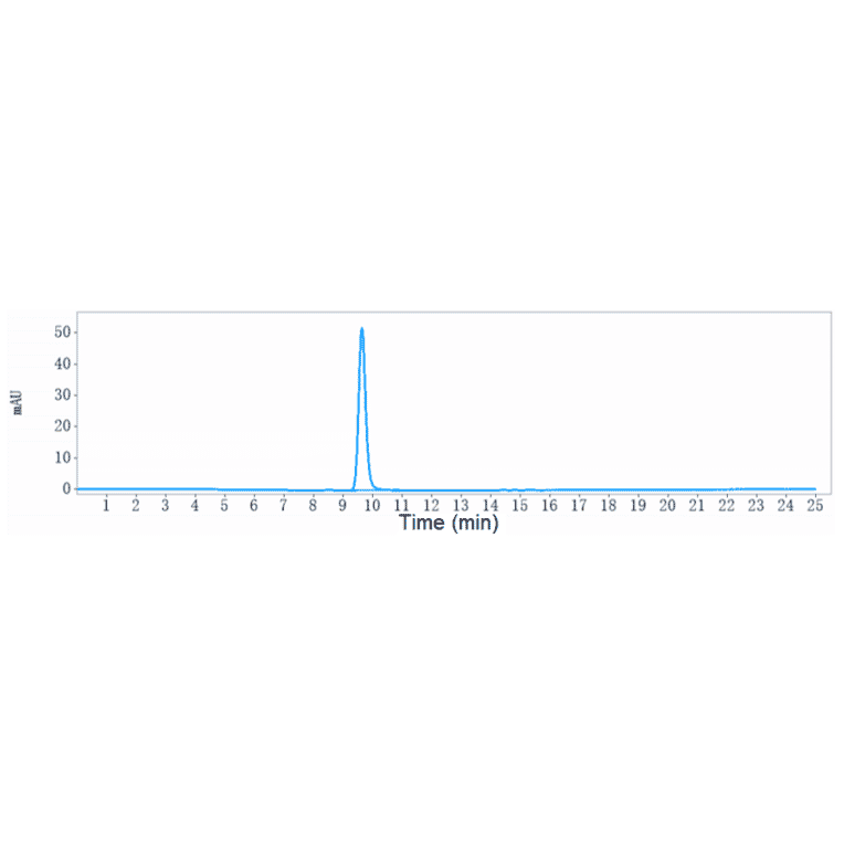 SEC-HPLC - Netakimab Biosimilar - Anti-IL-17A Antibody - Low endotoxin, Azide free (A323605) - Antibodies.com