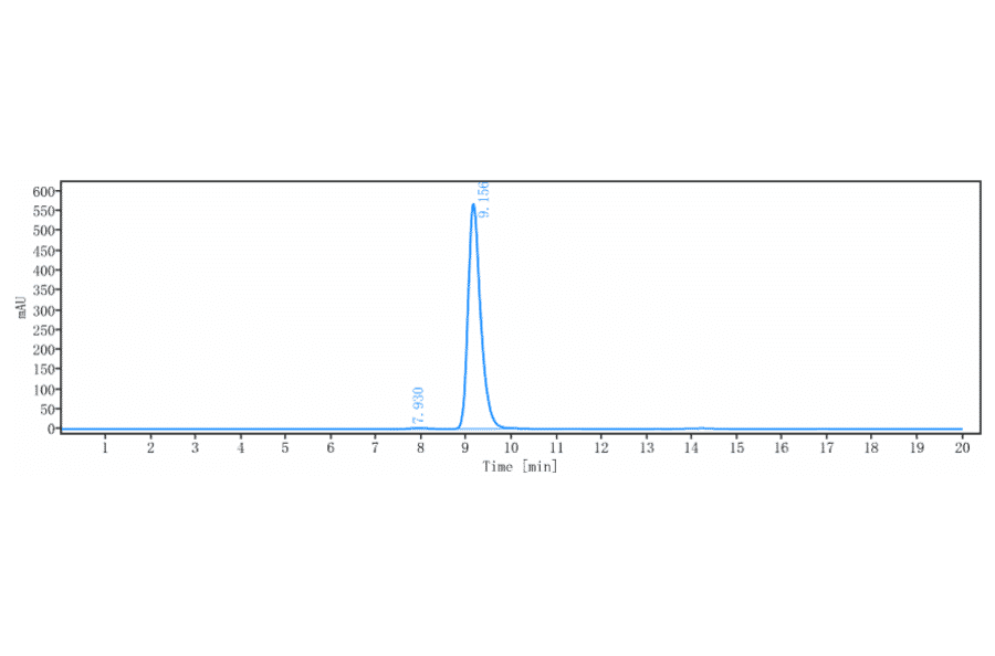 SEC-HPLC - Nimacimab Biosimilar - Anti-Cannabinoid Receptor I Antibody - Low endotoxin, Azide free (A323607) - Antibodies.com