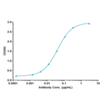ELISA - Nimacimab Biosimilar - Anti-Cannabinoid Receptor I Antibody - Low endotoxin, Azide free (A323607) - Antibodies.com