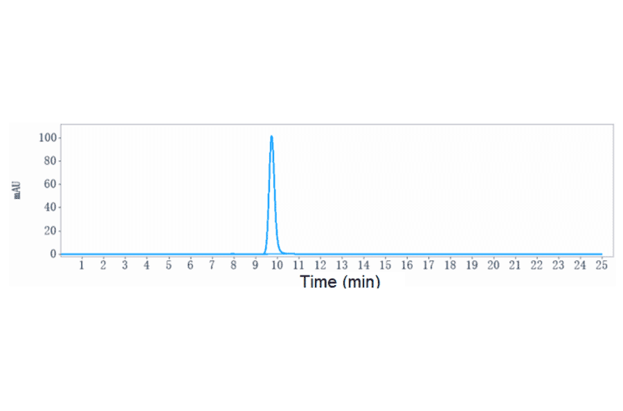 SEC-HPLC - Nimotuzumab Biosimilar - Anti-EGFR Antibody - Low endotoxin, Azide free (A323608) - Antibodies.com