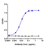 ELISA - Nivolumab Biosimilar - Anti-PD1 Antibody - Low endotoxin, Azide free (A323610) - Antibodies.com