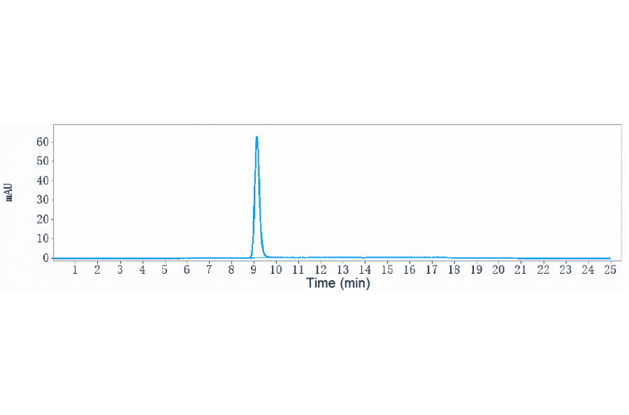 SEC-HPLC - Anti-Albumin Antibody [Research Grade Biosimilar] - Low endotoxin, Azide free (A323612) - Antibodies.com