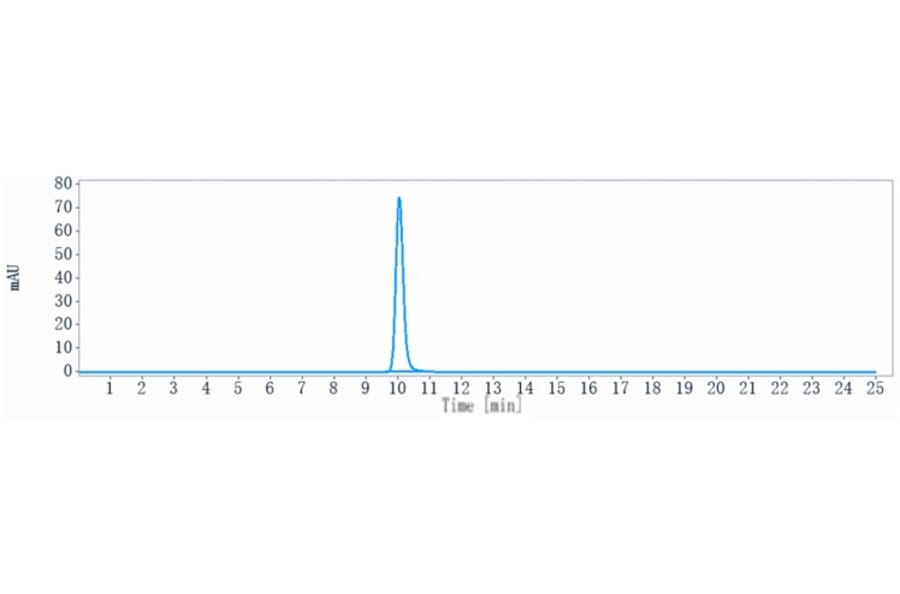 SEC-HPLC - Obinutuzumab Biosimilar - Anti-CD20 Antibody - Low endotoxin, Azide free (A323615) - Antibodies.com