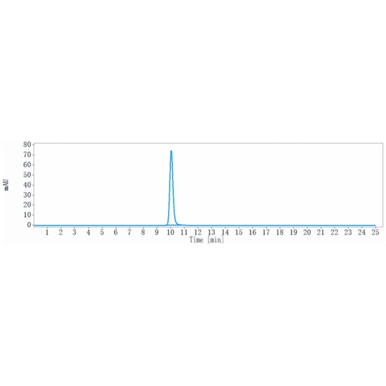 SEC-HPLC - Obinutuzumab Biosimilar - Anti-CD20 Antibody - Low endotoxin, Azide free (A323615) - Antibodies.com