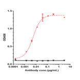 ELISA - Obinutuzumab Biosimilar - Anti-CD20 Antibody - Low endotoxin, Azide free (A323615) - Antibodies.com