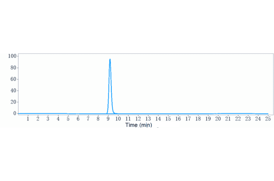 SEC-HPLC - Ocaratuzumab Biosimilar - Anti-CD20 Antibody - Low endotoxin, Azide free (A323616) - Antibodies.com