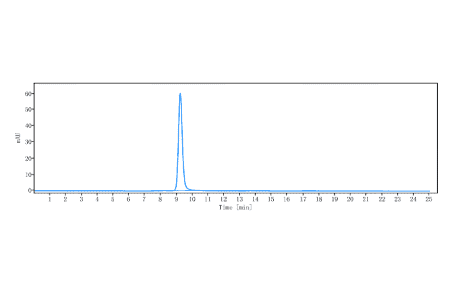 SEC-HPLC - Ociperlimab Biosimilar - Anti-TIGIT Antibody - Low endotoxin, Azide free (A323617) - Antibodies.com