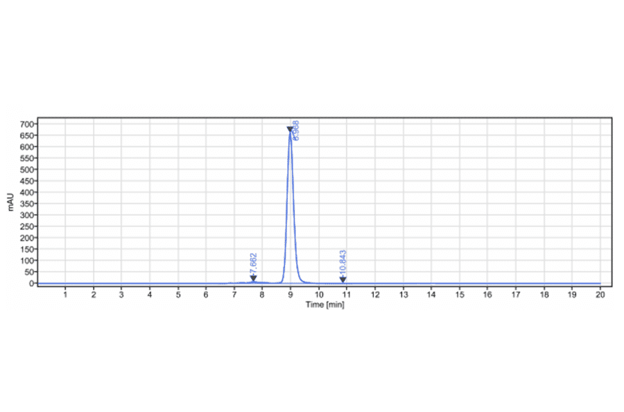 SEC-HPLC - Omburtamab Biosimilar - Anti-CD276 Antibody - Low endotoxin, Azide free (A323625) - Antibodies.com