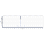 SEC-HPLC - Omburtamab Biosimilar - Anti-CD276 Antibody - Low endotoxin, Azide free (A323625) - Antibodies.com