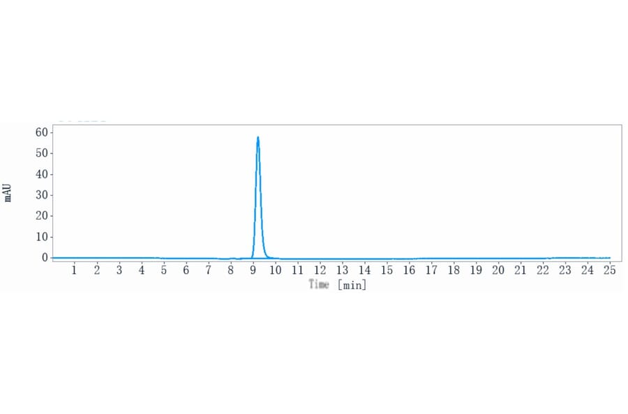 SEC-HPLC - Onartuzumab Biosimilar - Anti-Met (c-Met) Antibody - Low endotoxin, Azide free (A323626) - Antibodies.com