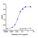 ELISA - Onvatilimab Biosimilar - Anti-VISTA Antibody - Low endotoxin, Azide free (A323630) - Antibodies.com