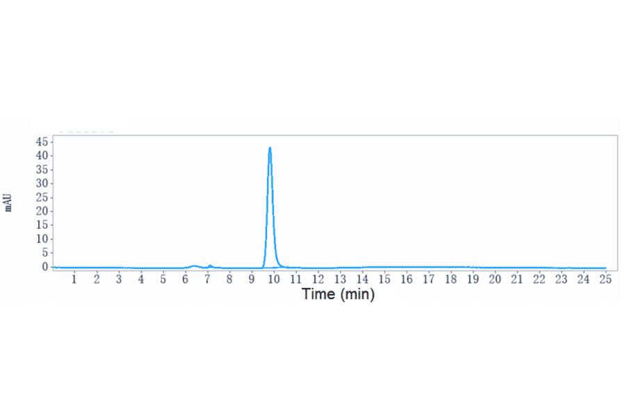SEC-HPLC - Opicinumab Biosimilar - Anti-Lingo1 Antibody - Low endotoxin, Azide free (A323631) - Antibodies.com