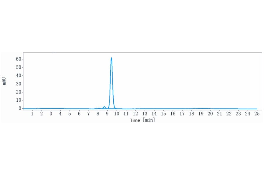 SEC-HPLC - Ordesekimab Biosimilar - Anti-IL-15 Antibody - Low endotoxin, Azide free (A323634) - Antibodies.com