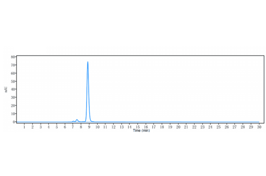 SEC-HPLC - Orilanolimab Biosimilar - Anti-FCGRT/FCRN Antibody - Low endotoxin, Azide free (A323637) - Antibodies.com