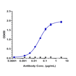ELISA - Orilanolimab Biosimilar - Anti-FCGRT/FCRN Antibody - Low endotoxin, Azide free (A323637) - Antibodies.com