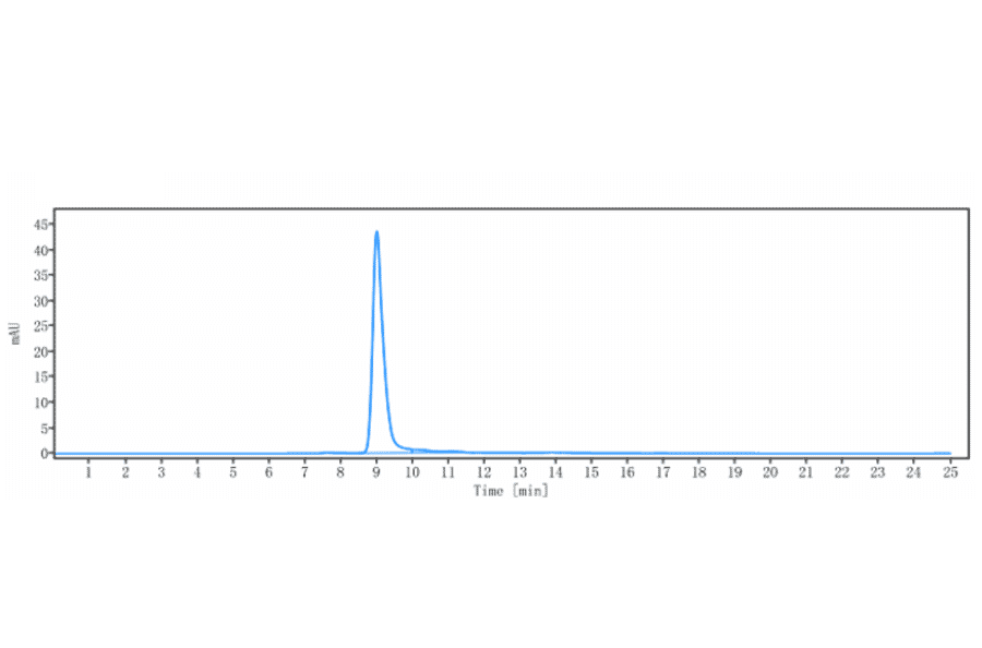 SEC-HPLC - Osocimab Biosimilar - Anti-Factor XI Antibody - Low endotoxin, Azide free (A323639) - Antibodies.com