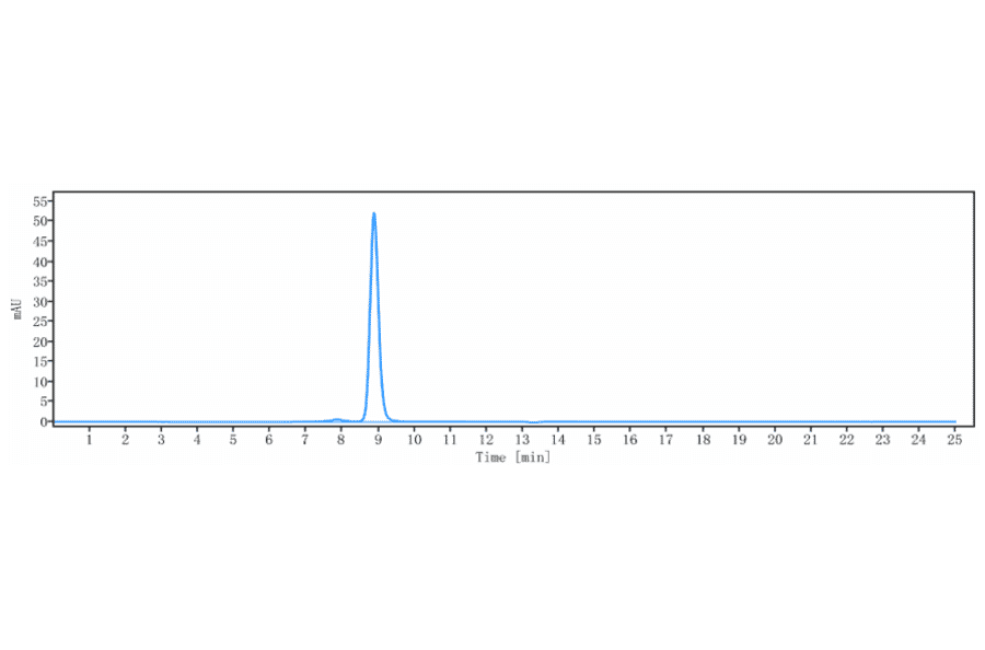 SEC-HPLC - Otelixizumab Biosimilar - Anti-CD3 Antibody - Low endotoxin, Azide free (A323640) - Antibodies.com