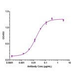 ELISA - Otilimab Biosimilar - Anti-GM-CSF Antibody - Low endotoxin, Azide free (A323641) - Antibodies.com